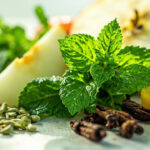 Quels aliments fabriquent l'haleine fraîche naturellement